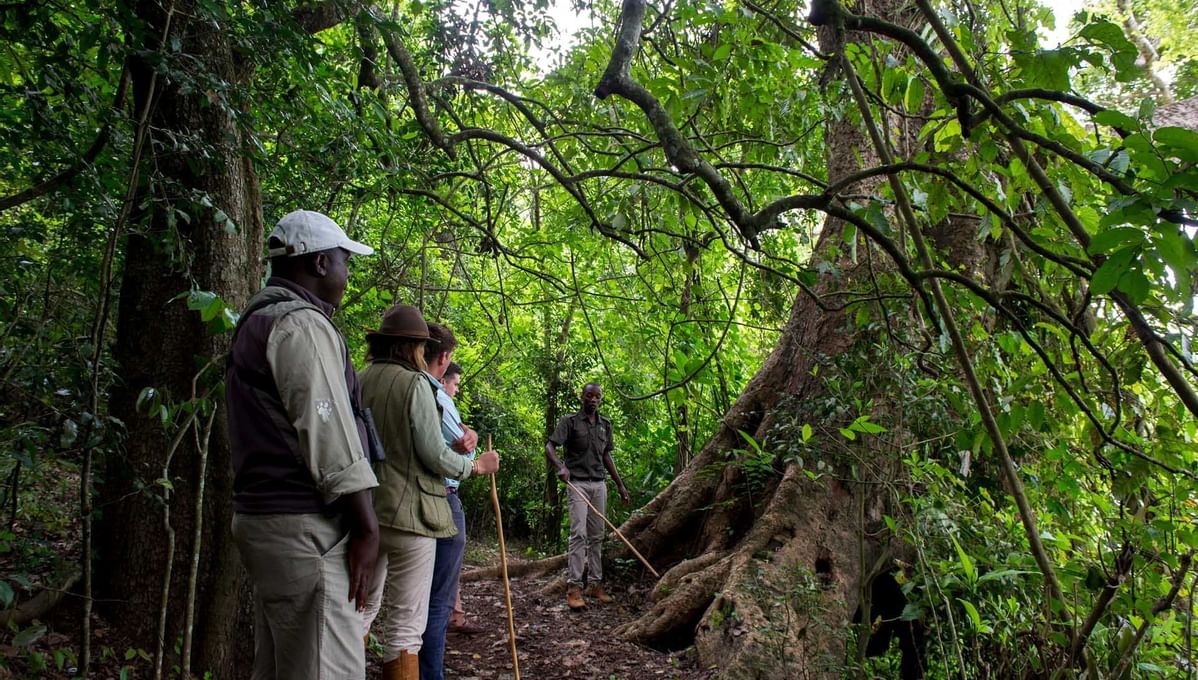 Hikers in a hike at Lake Duluti near Arusha Serena Hotels