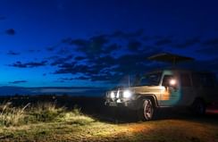 Night Game Drive