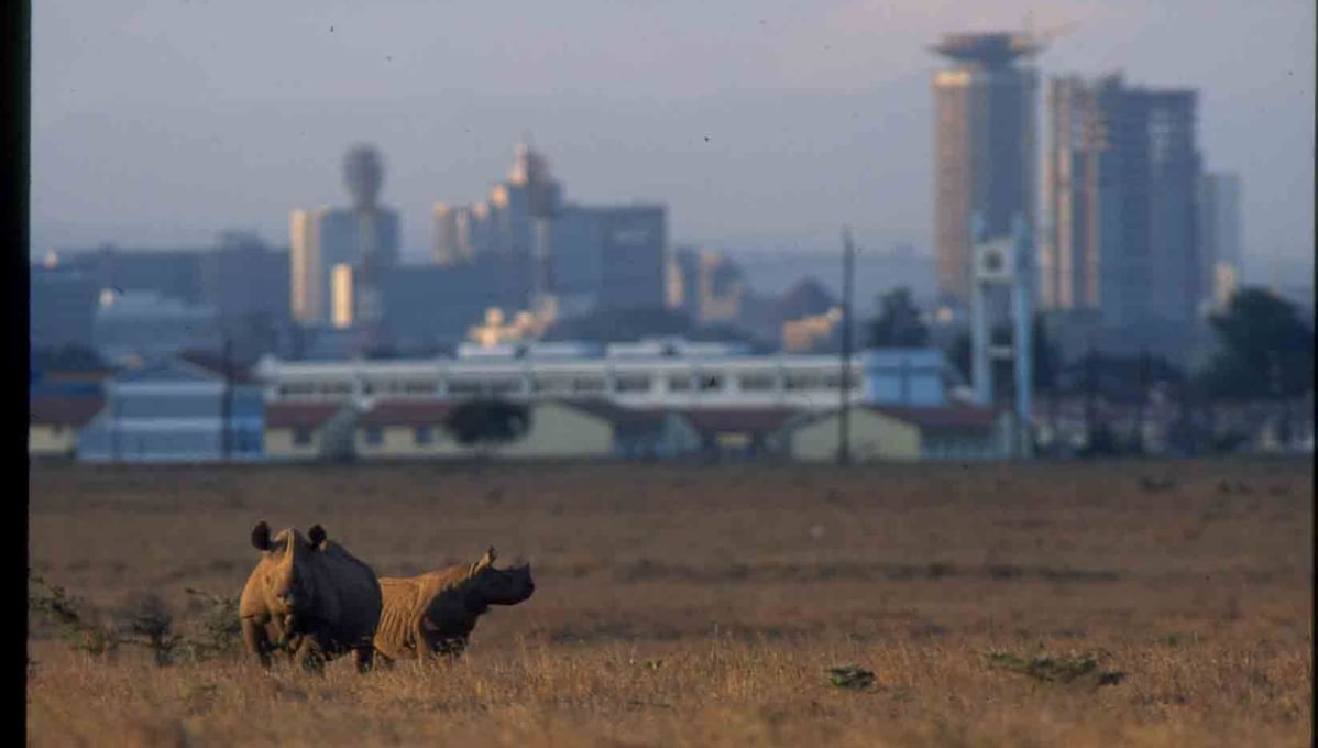 View of the National Park