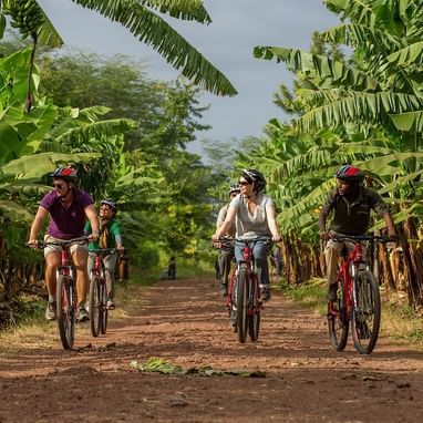 People riding bikes in a farm near Lake Manyara Serena Lodge