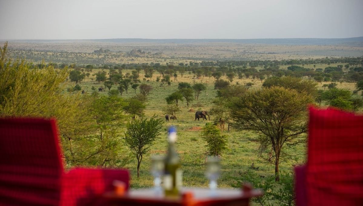 Sundowner Experience