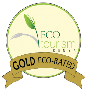 Eco Tourism Logo